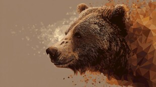 几何风格棕熊艺术插画