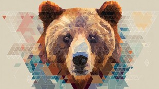 几何风格棕熊头像插画