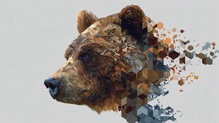 熊的几何碎片艺术头像