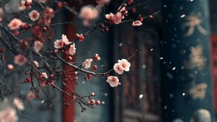 雪中红梅映古建