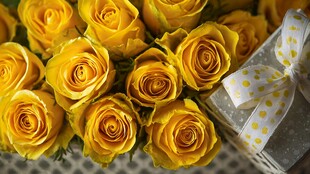 黄玫瑰与礼物浪漫组合