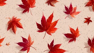 枫叶满布的温暖秋日背景