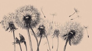 手绘蒲公英 飘飞的自然之美