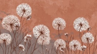 秋日蒲公英的梦幻景致