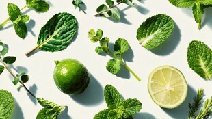 青柠薄荷叶清新组合