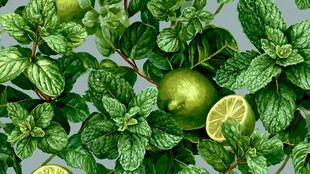 薄荷与青柠的清新图案