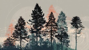 森林剪影与科技元素融合