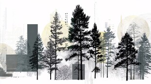 水墨风森林与建筑景致