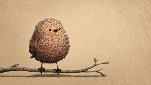 毛茸茸小鸟栖于细枝