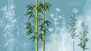 翠竹与花草的清新景致