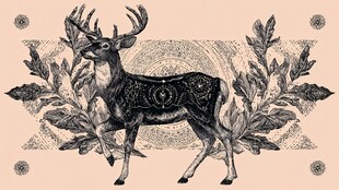 复古风鹿图案装饰插画