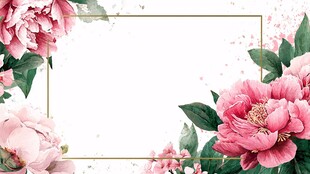 粉色牡丹花卉边框背景图