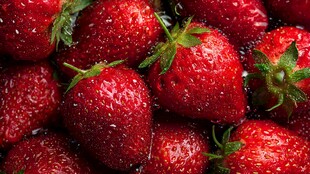 新鲜欲滴的多汁红草莓