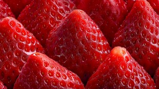 饱满多汁的新鲜红草莓