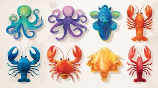 海洋生物卡通插画集合