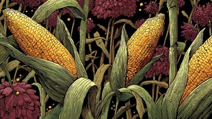 田园风玉米与花卉插画