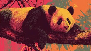 树枝上休憩的梦幻色彩熊猫