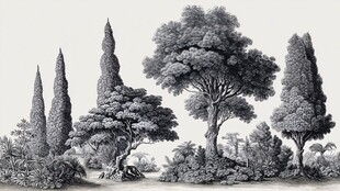 古典风格树木植物绘画