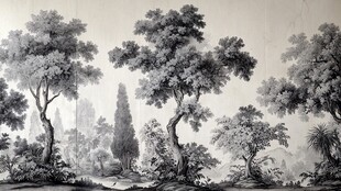 黑白手绘风森林风景图