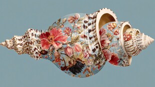 花卉图案精美海螺工艺品