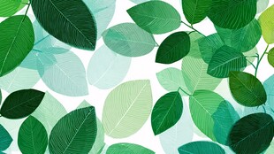 清新绿叶背景图案