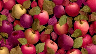 多彩苹果与绿叶的视觉盛宴