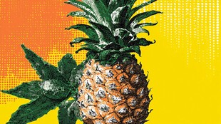 黄色背景上的新鲜菠萝