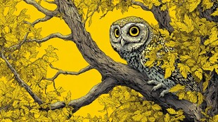 栖息于黄叶树枝的猫头鹰