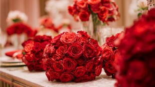 艳丽红玫瑰装点浪漫场景