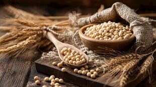 木桌上的大豆与麦穗