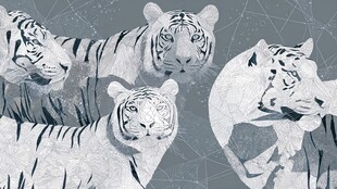 几何风格白虎群像插画