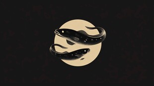 双蛇绕月图案设计