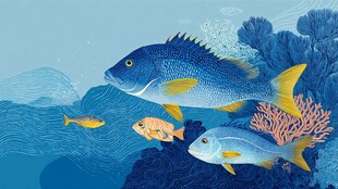 海洋中的多彩鱼类世界