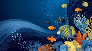 梦幻海底世界 多彩鱼儿游弋