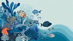 海底多彩鱼群与珊瑚景观