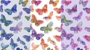 水彩蝴蝶图案背景集合