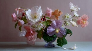 多彩鲜花插于精致花瓶中