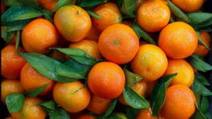 新鲜带叶柑橘满满当当