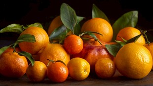 多彩柑橘静物摆拍