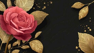黑底金叶粉玫瑰唯美画面