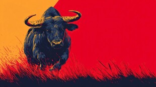 奔腾公牛 热血红背景