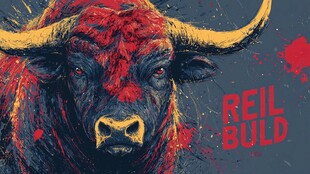 勇猛公牛插画 REIL BULD