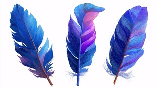 梦幻水彩羽毛插画