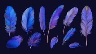 梦幻蓝紫色羽毛集合
