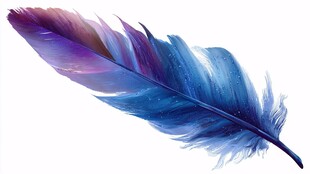 梦幻蓝紫色羽毛插画