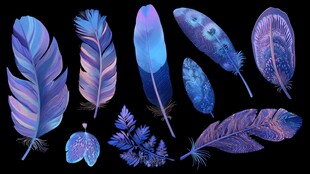 梦幻蓝紫色系精美羽毛集合
