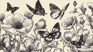 蝶舞花丛黑白手绘插画