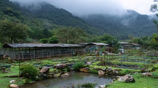 山间田园风光 静谧农舍景致