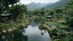 田园溪流畔的静谧村落