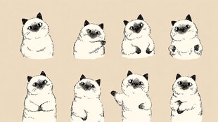 可爱猫咪多样表情插画